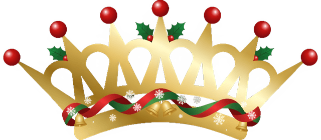 Lind Plastic Surgery & Med Spa Logo